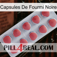 Black Ant Capsules 18